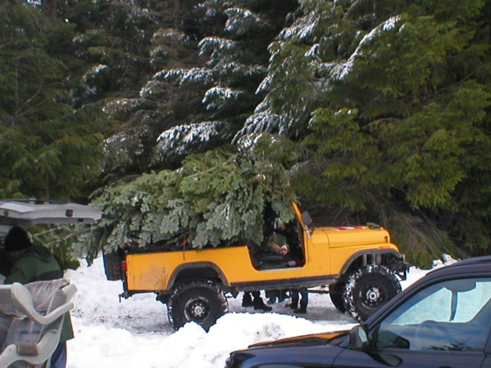 Yellow Jeep CJ-8 Scrambler loaded with a large Christmas tree, driving in snow. Another vehicle is partially visible in the foreground