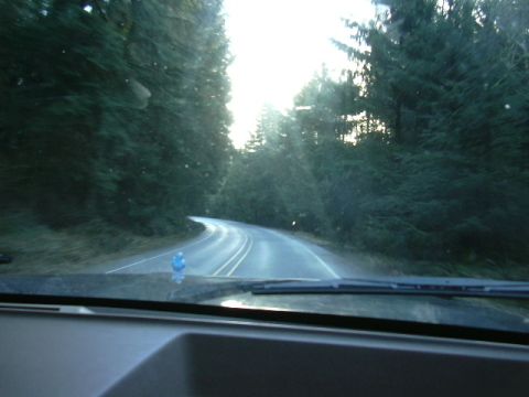 1991 Ford Bronco - On our way to get a Christmas tree