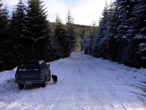 1991 Ford Bronco - This is the road we came in on