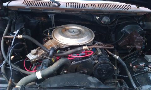 1982 Ford Bronco - The engine bay of a 1982 Ford Bronco is visible, displaying its V8 engine components.