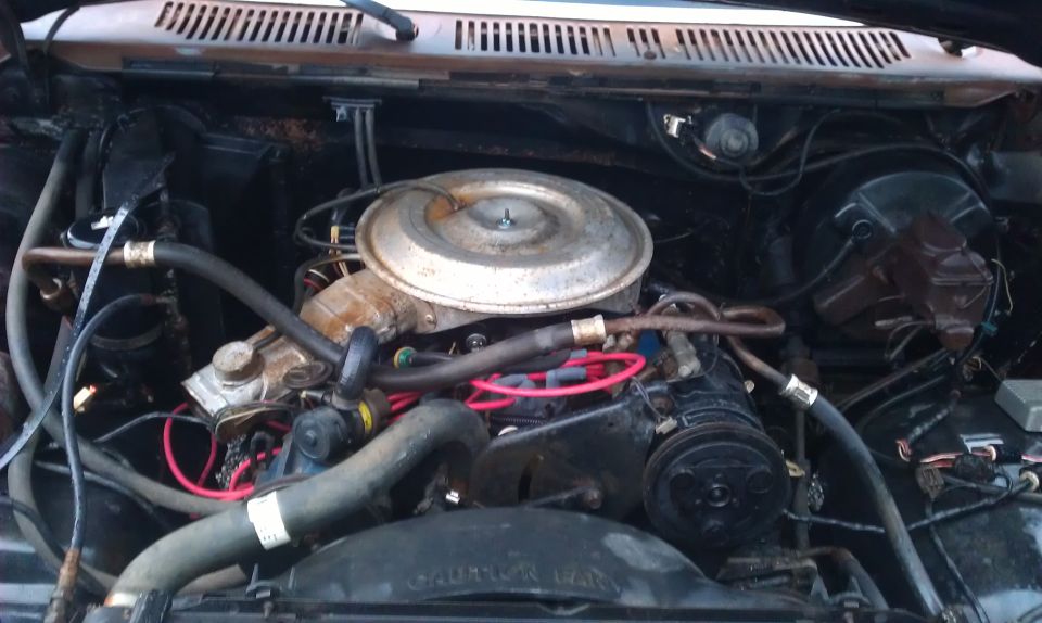 Engine bay of a 1982 Ford Bronco, showing the V8 engine with air cleaner and hoses