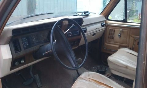 1982 Ford Bronco photo