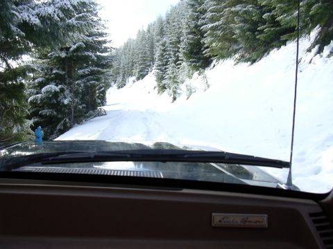 1991 Ford Bronco - Headin up the mountain.