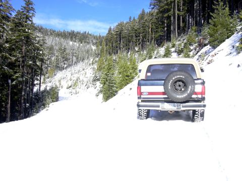 1991 Ford Bronco - Lotsa trees