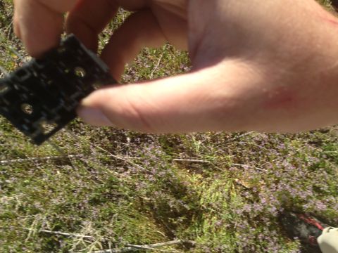 1979 Ford Bronco - A black plastic electrical connector is held in a hand, with a background of dry grass and small purple flowers.