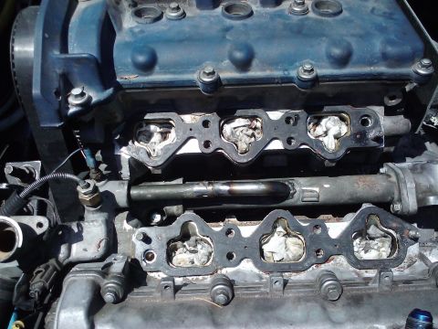1995 Ford Probe - Close-up view of an engine's intake manifold gaskets and ports.