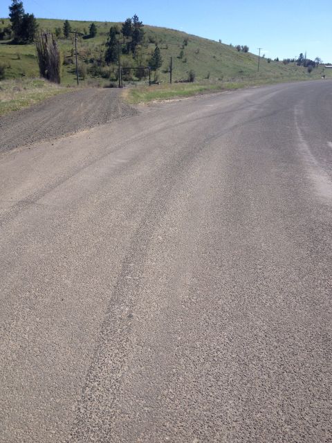 1990 Ford Mustang - A rural scene shows a gravel road winding through a landscape with a hill and scattered trees.