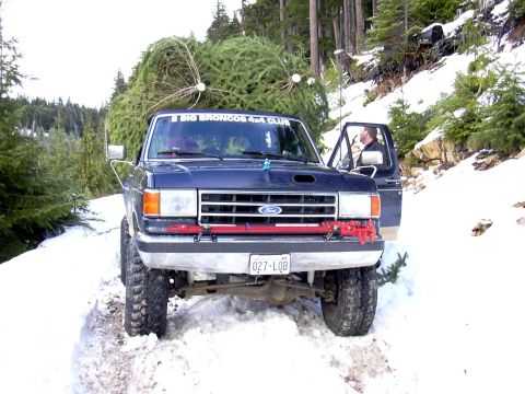 1991 Ford Bronco - 1991 Ford Christmas Tree Transporter