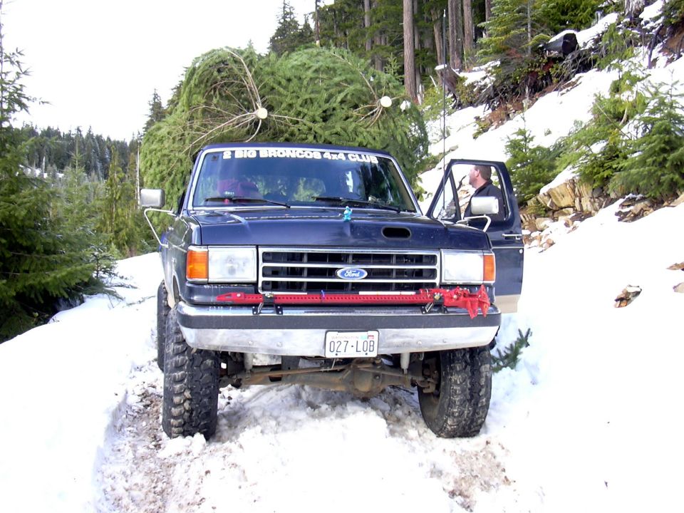 1991 Ford Christmas Tree Transporter