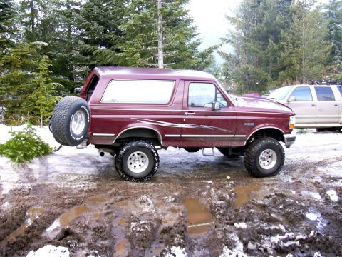 1991 Ford Bronco - Quite a few people have been here since this morning