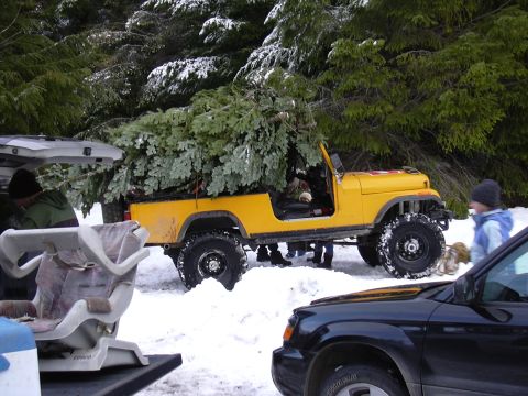 1991 Ford Bronco - 6 trees and 6 guys came down the hill in this Very Cool Scrambler.
