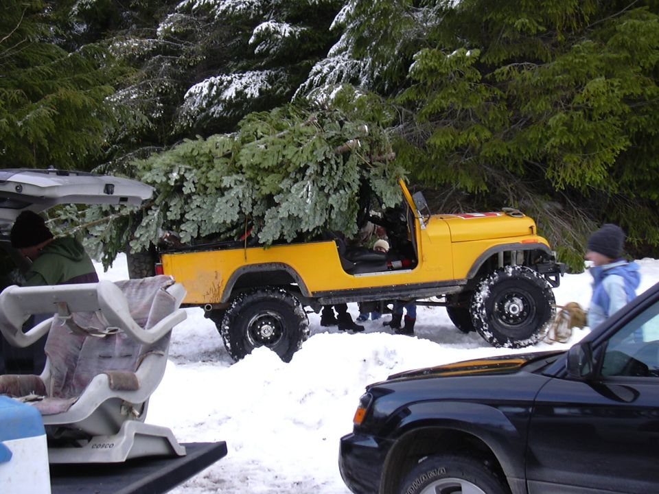 6 trees and 6 guys came down the hill in this Very Cool Scrambler.