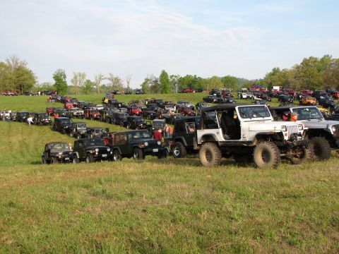 1979 Ford Bronco - A large gathering of Jeeps are parked on a grassy incline, with more vehicles visible in the background.