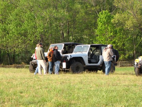 1979 Ford Bronco - Multiple Jeeps are gathered in a sunlit, grassy area with a wooded backdrop.