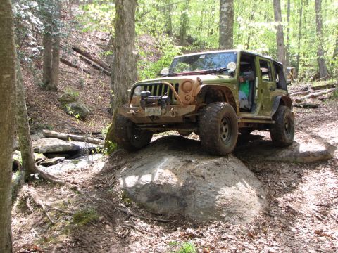 1979 Ford Bronco - A green Jeep Wrangler navigates a rocky, wooded path, demonstrating off-road capability.