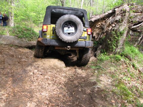 1979 Ford Bronco - A Jeep Wrangler navigates a challenging off-road trail with a fallen tree nearby.