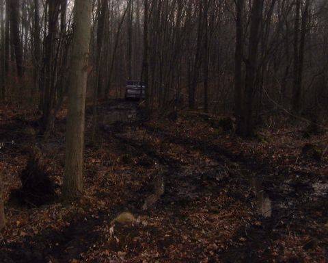 1985 Ford F-150 - A truck navigates a muddy trail surrounded by dense trees in a wooded area.