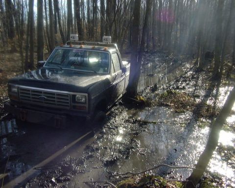 1985 Ford F-150 - This truck appears to be from the early 1980s and is deeply stuck in a muddy, wooded area.