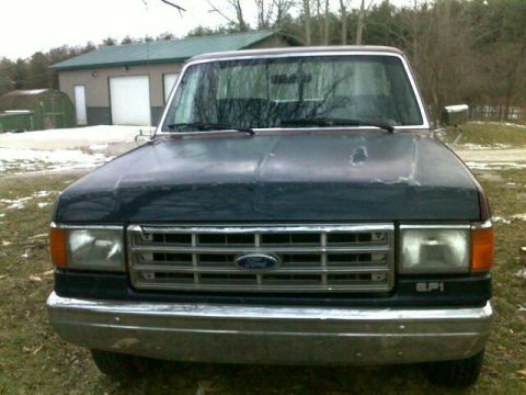 1988 Ford F-150 photo