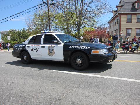 1991 Ford LTD Crown Victoria - black-and-white Springfield Police K-9 Ford Crown Victoria sedan drives a parade route past seated spectators.