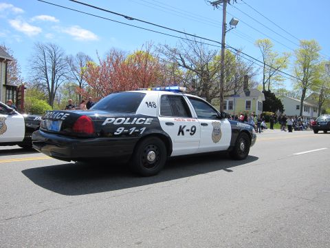 1991 Ford LTD Crown Victoria - black-and-white Springfield Police K-9 Ford Crown Victoria unit 148 marked Police 911 drives down a residential street.