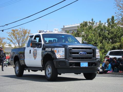 1991 Ford LTD Crown Victoria - black-and-white Ford F-250 Super Duty Police pickup unit 20 with light bar drives a parade past seated spectators.