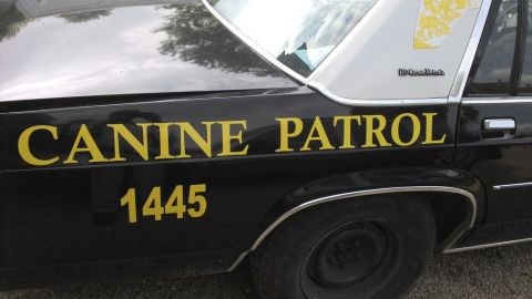 1991 Ford LTD Crown Victoria - This vehicle is marked "CANINE PATROL 1445" and appears to be a police car.