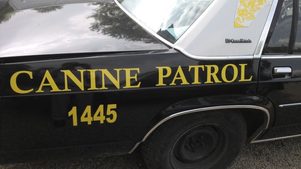 Side view of black and white police car with "CANINE PATROL 1445" text