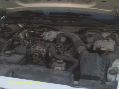 2006 Ford Crown Victoria - The engine compartment of a vehicle is shown, with various engine components and hoses visible.