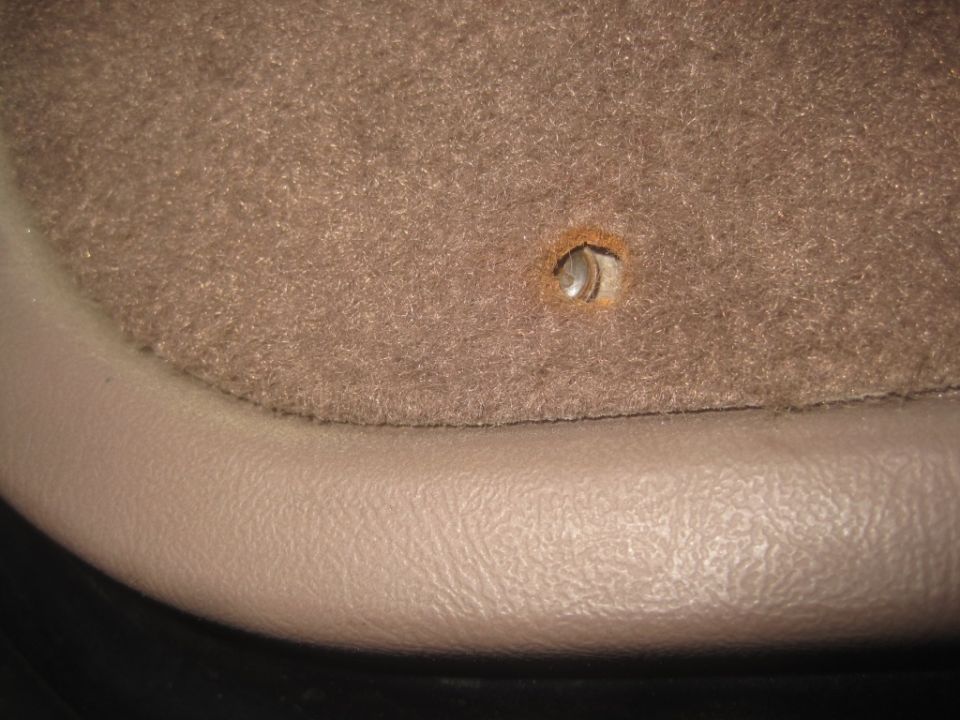 Tan carpeted interior panel with a visible screw hole and beige trim