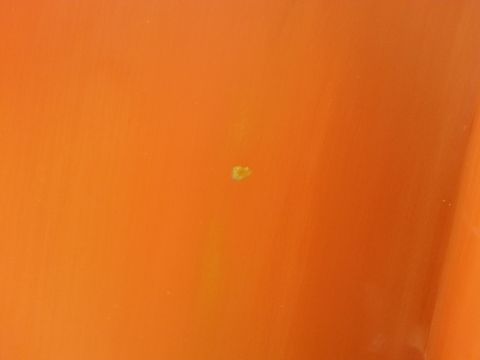 1973 Chevrolet Nova - Close-up of orange paint with a small imperfection visible.