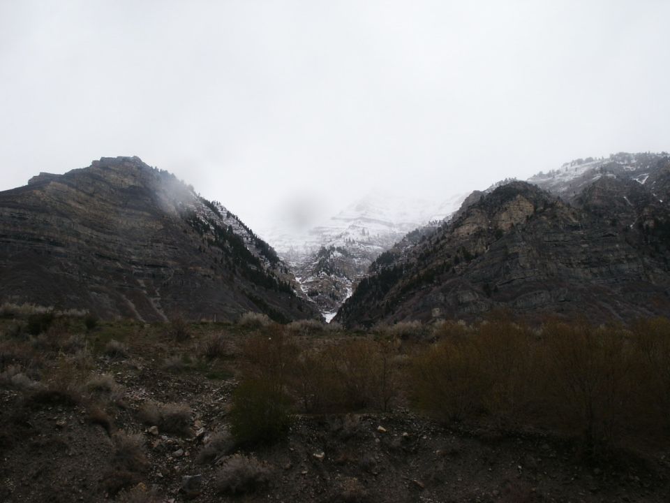 Mountain landscape with snow and trees under a cloudy sky