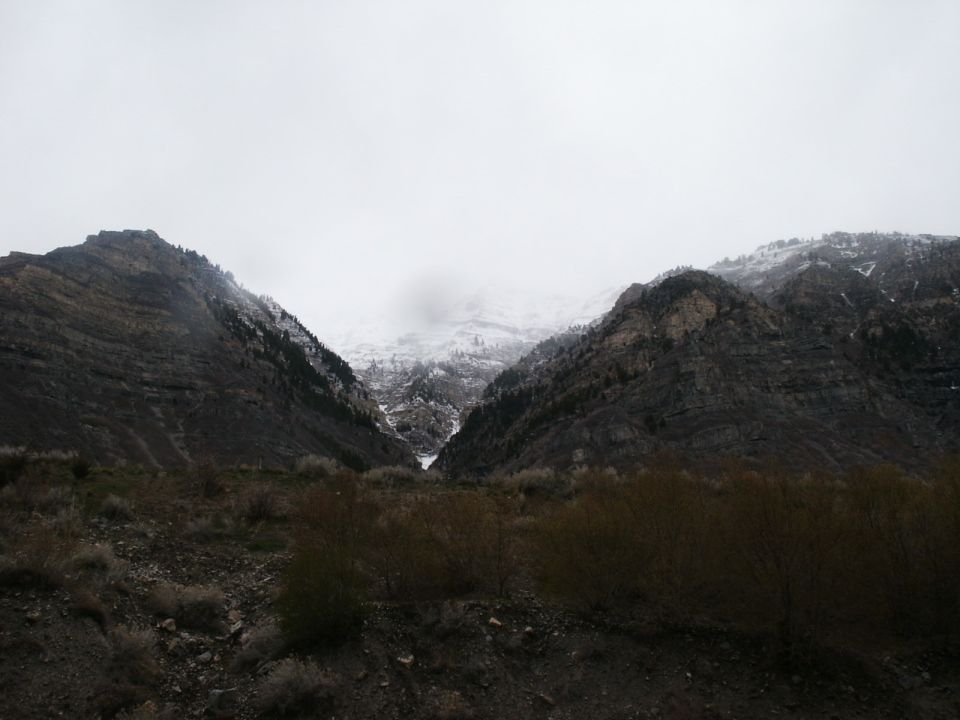 Mountain valley with snow-capped peaks and dry brush in the foreground under an overcast sky