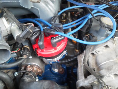 1988 Ford Bronco - Close-up view of a red distributor cap and blue spark plug wires within an engine compartment.