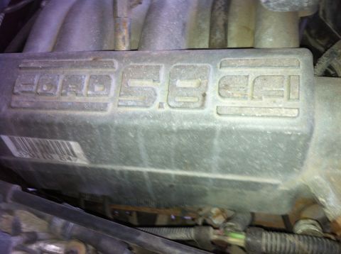 1996 Ford Bronco - 351W