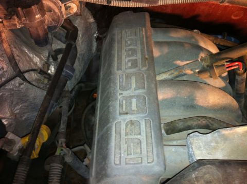 1996 Ford Bronco - Intake/Vacuum tree shot.