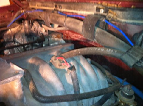 1996 Ford Bronco - Brake booster vacuum to large fitting on vacuum tree.