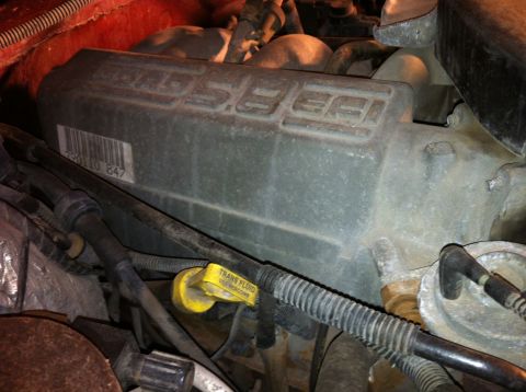 1996 Ford Bronco - EGR vaccum (far right), Trans dipstick (E4OD)