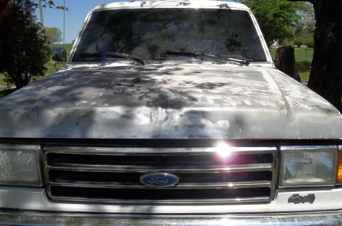 1990 Ford Bronco - The front of a white 1990 Ford Bronco shows significant paint wear on the hood and a "4x4" badge on the fender.