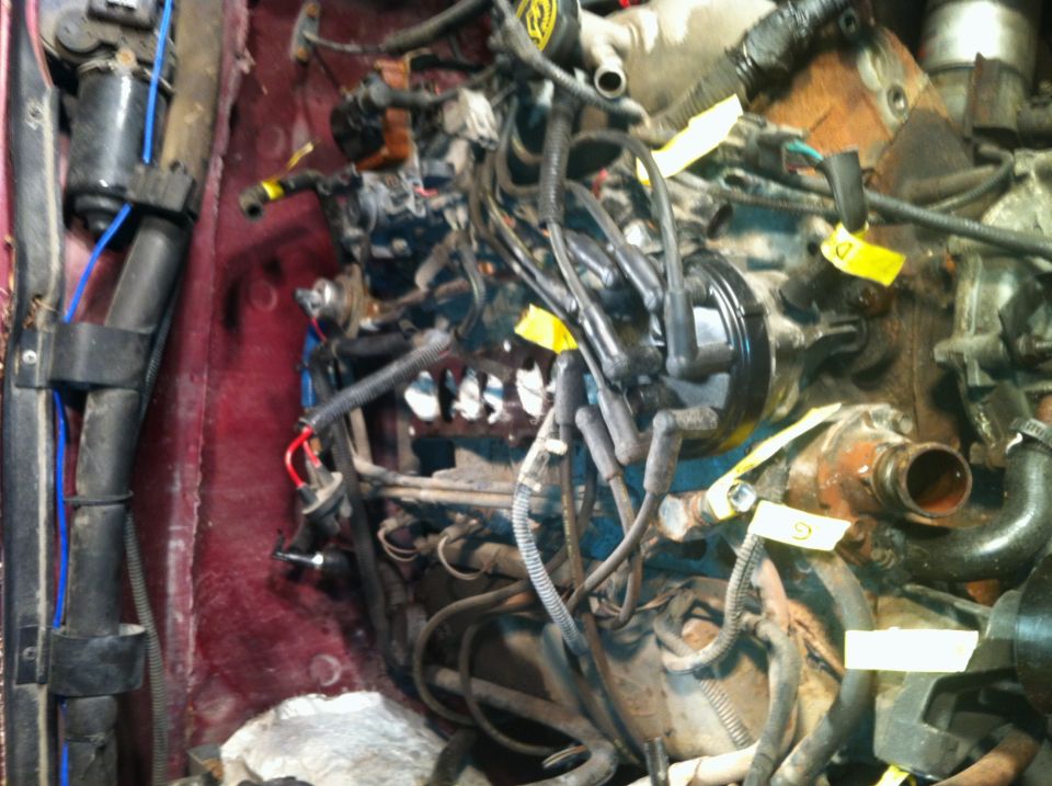 V8 engine in engine bay, wires and hoses visible