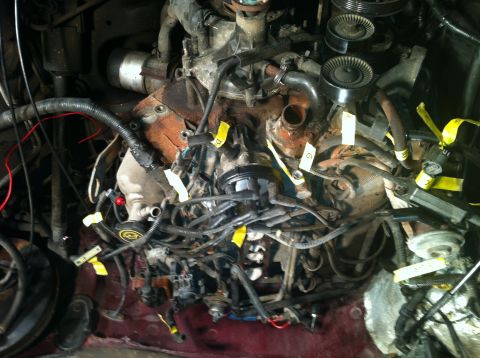 1996 Ford Bronco - Image is upside down. 351 Before removal.