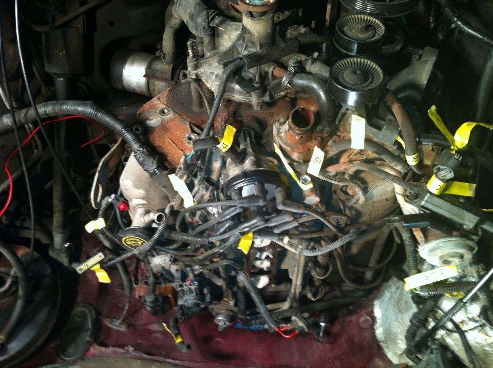 Image is upside down. 351 Before removal.