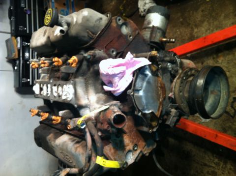 1996 Ford Bronco - This is a Ford V8 engine, likely removed from a vehicle for repair or replacement.