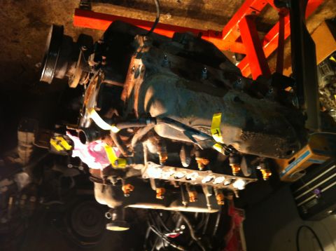 1996 Ford Bronco - Engine assembly is shown on an engine stand, with various hoses and components visible.