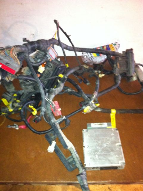 1996 Ford Bronco - Engine wiring harness and computer from a vehicle.