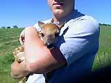 1979 Ford Bronco - A person holds a young deer in a field on a sunny day.