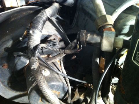 1992 Ford Bronco - A close-up view of the engine bay reveals a complex network of wiring and hoses.