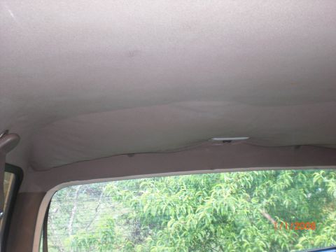 1993 Ford Bronco - Interior view of a vehicle's headliner and rear window, with foliage seen through the glass.