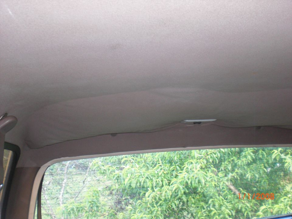Vehicle interior ceiling and rear window with trees visible outside