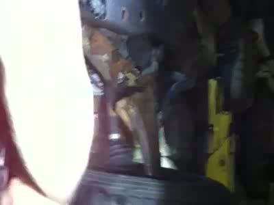 1996 Ford F-150